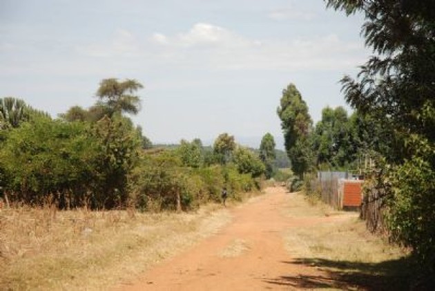 Uno de los caminos por los que corren los keniatas en Ziwa